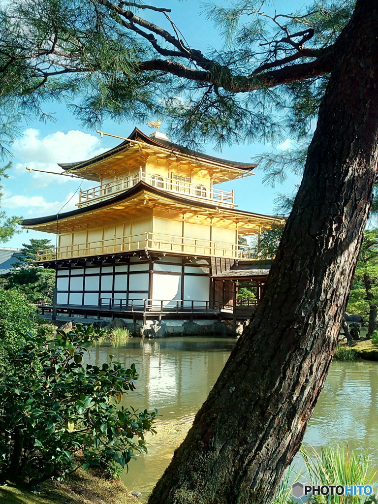 スマホで金閣寺