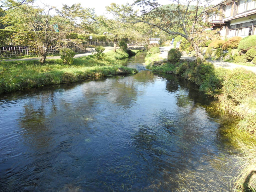 秋の気配 - 忍野八海