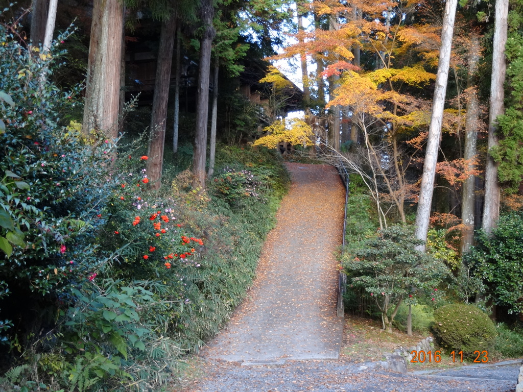 石山寺の紅葉