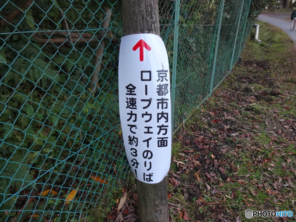 比叡山頂からローブウェーのりばへ２