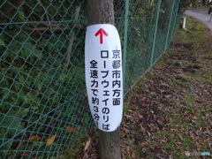 比叡山頂からローブウェーのりばへ２