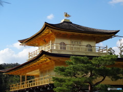 鳳凰が主役