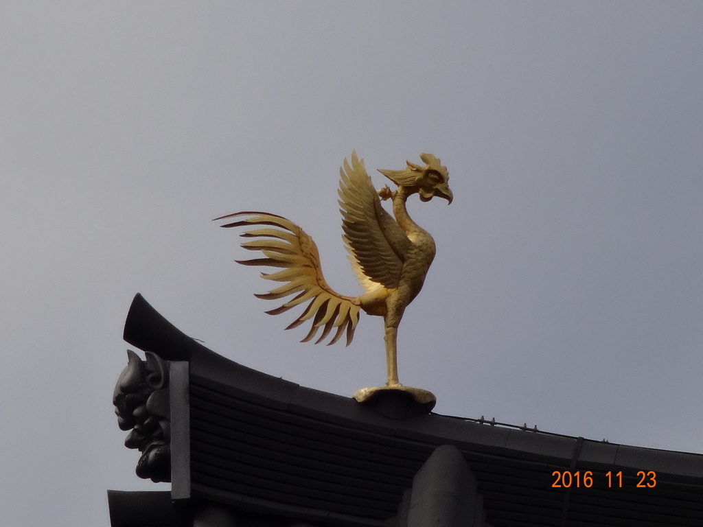 鳳凰 左　平等院にて