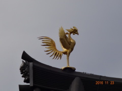 鳳凰 左　平等院にて