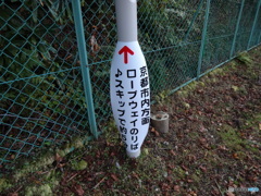 比叡山頂よりロープウェーのりばへ