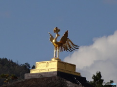 鳳凰