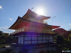 羽ばたく鳳凰