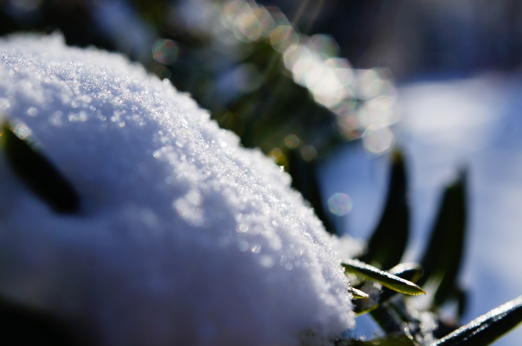 雪