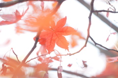DSC00412