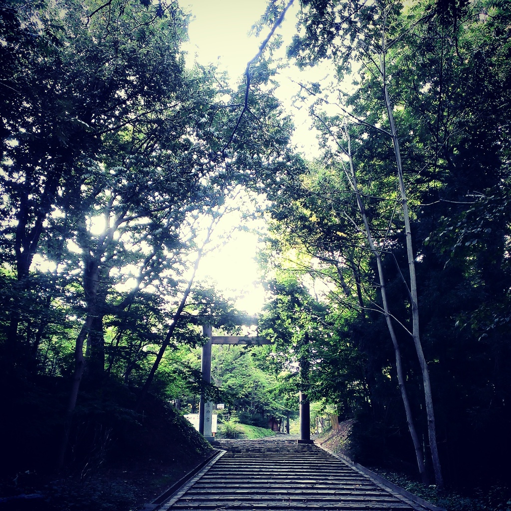 北海道神宮