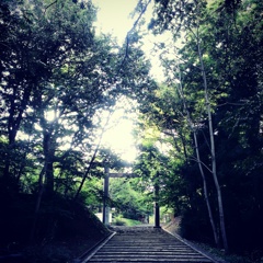 北海道神宮