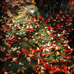 IMG_20141026_094449