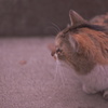DSC02428