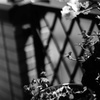 DSC02456