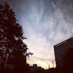 くも