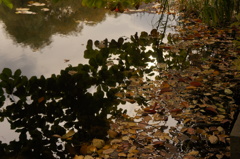 DSC00378