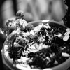 DSC02451