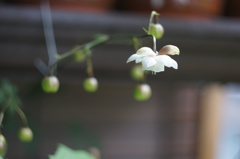 DSC00095