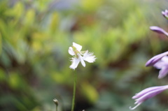 DSC00090