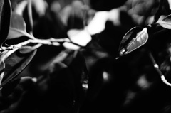 DSC02464