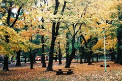 円山公園