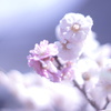 DSC02438