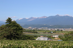 十勝岳