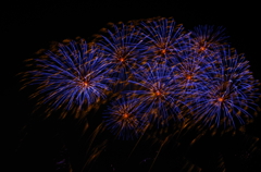 八景島シーパラダイスの花火