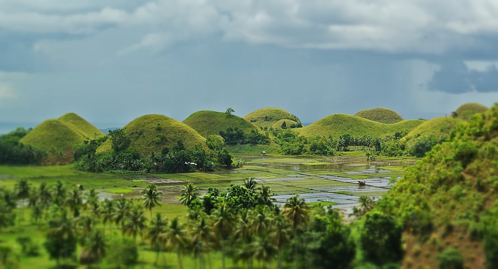 Chocolate Hills