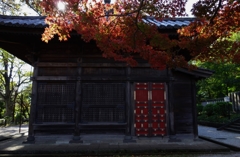 朱色の扉