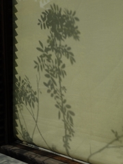 草模様