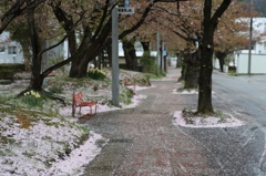 雨のあと