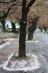 雨のあと