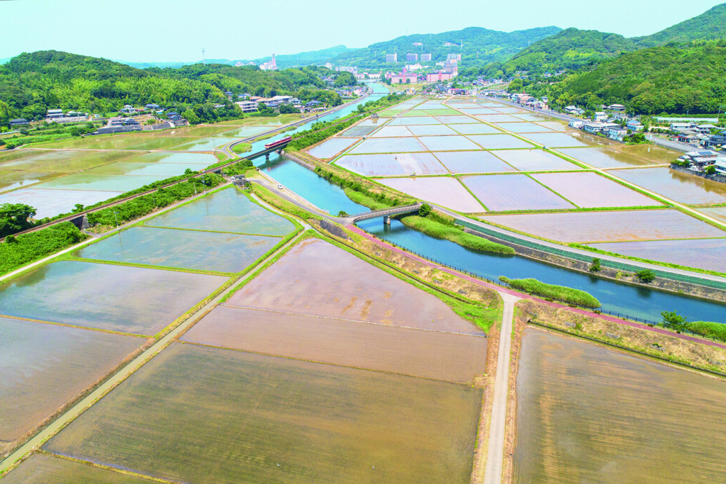 国鉄色列車が通ります　田植の頃 in 2019