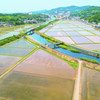 国鉄色列車が通ります　田植の頃 in 2019