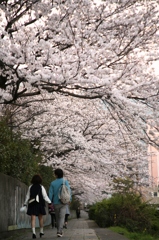 2人の春