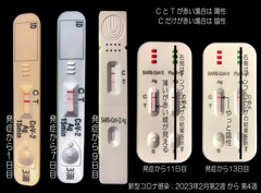 やっと陰性