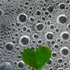 bubble love