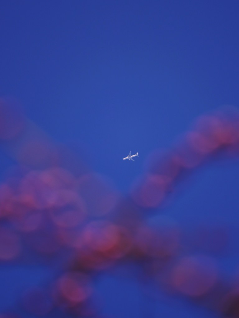 薫る空