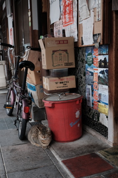 深川寸景