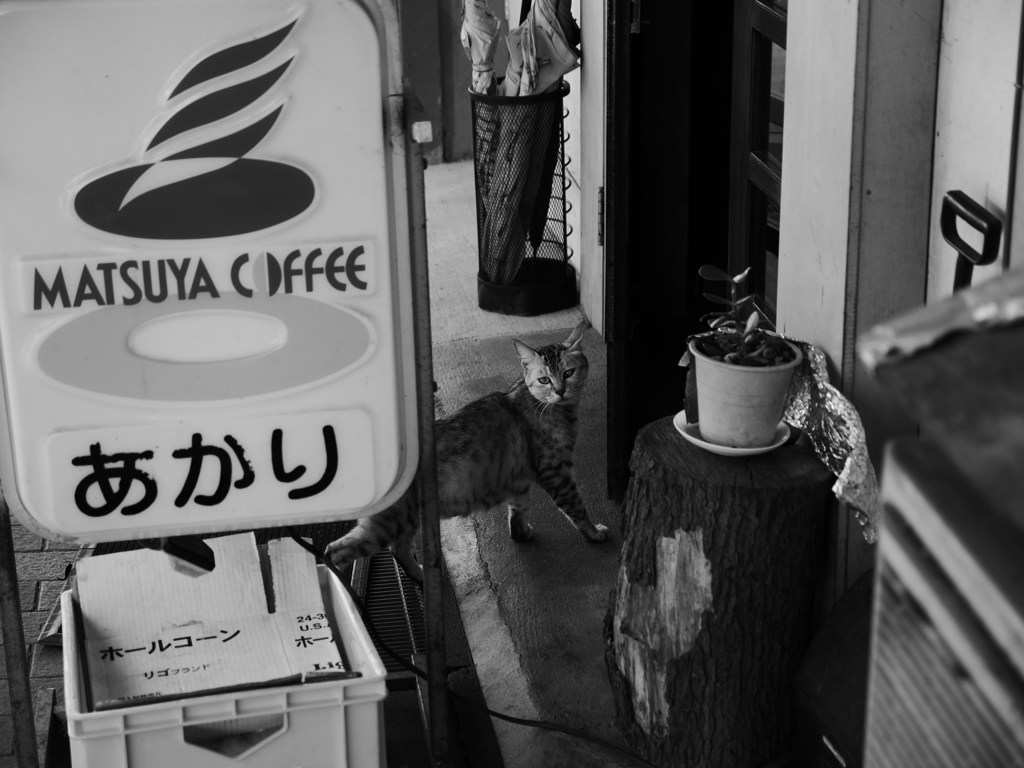 お茶のお誘い♪
