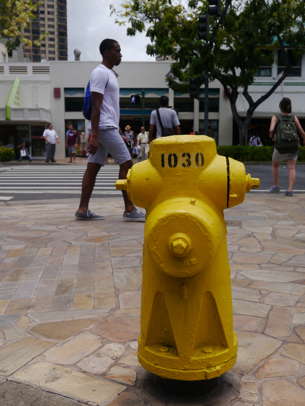 yellow fireplug