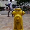 yellow fireplug