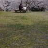 ふたりの花見