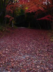 深紅のいざない