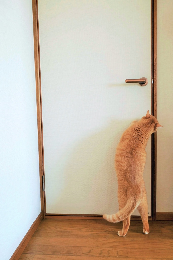 バタン！