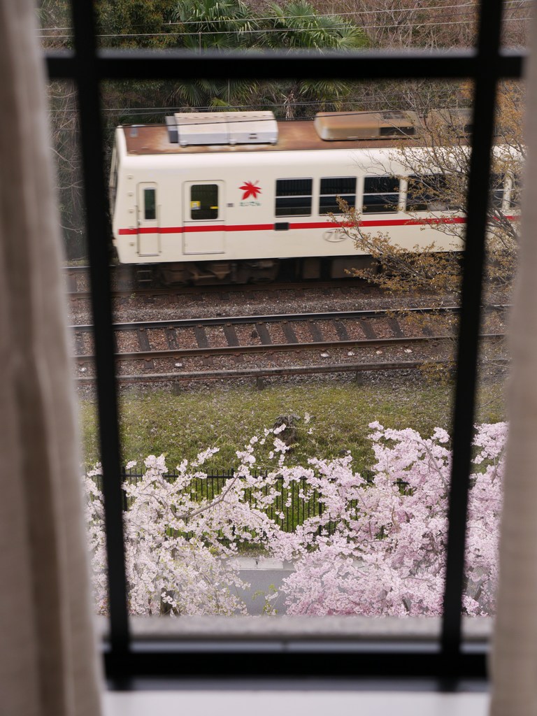 窓の外に春列車♫