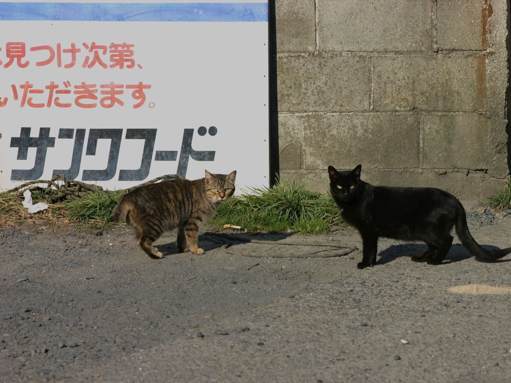 見つかったら・・大変ですよ！