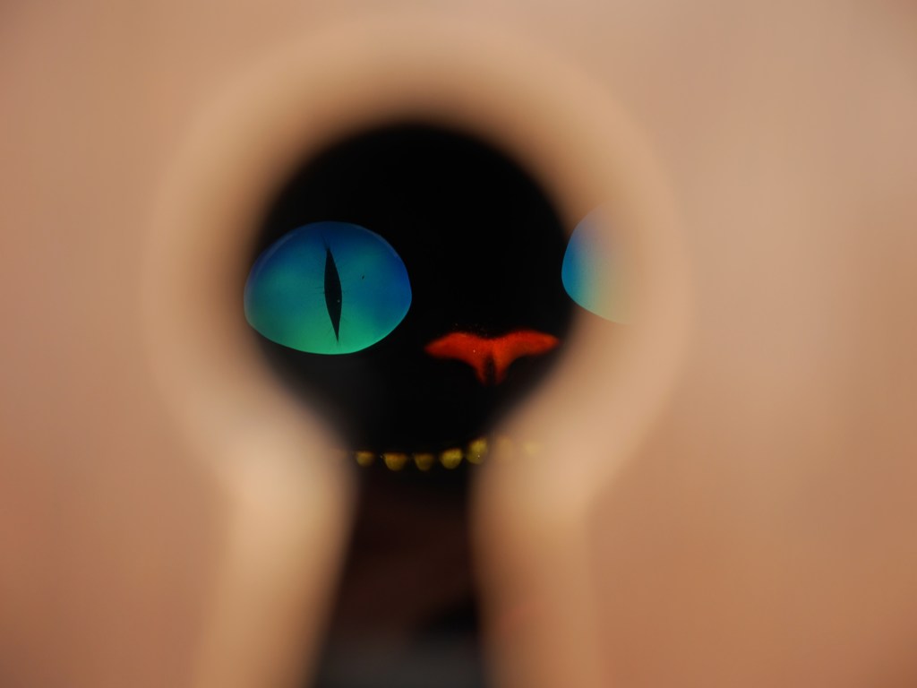 keyhole cat