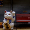 招き猫と招く人